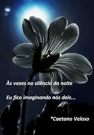 Caetano Veloso às Vezes No Silêncio Da Noite Siga Me No Facebook Lucia Neuen Neuen Verdades Letras De Musicas Citacoes