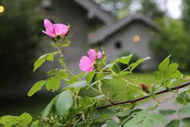 Maybe you would like to learn more about one of these? A Weekend At Lake Patterson With Sun Mountain Lodge Finding The Extraordinary In The Ordinary