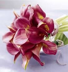 En el presente, la deforestación ocurre principalmente, en américa latina, áfrica occidental y algunas regiones de asia. Precios De Flores Preservadas Flores Frescas Online