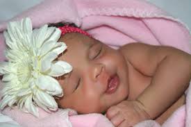 Infancy Nikon gear DOP : 18.06.2025