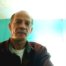 Brand new to gardening, what's this