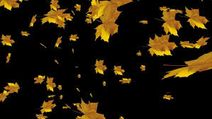 Find images and videos about gif, art and editing.banner background images background images wallpapers gifs fall leaves background falling gif beautiful love pictures. Blog Kolibri Animated Falling Leaves Background Gif