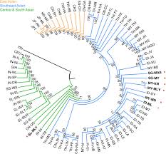 The importance of public relations education to the development of the public relations profession in malaysia pdf free download. Dissecting The Genetic Structure And Admixture Of Four Geographical Malay Populations Scientific Reports