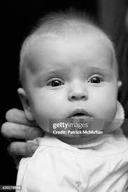 41 Zander Bauer Stock Photos, High-Res Pictures, and Images