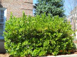 We did not find results for: The University Of Mississippi Landscape Services Department