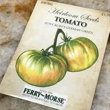 Solanum Lycopersicum Aunt Ruby S German Green Tomato Aunt Ruby S German Green In Gardentags Plant Encyclopedia