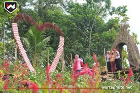 Tak sulit untuk menemukan kebun tebu ini, sebab jalannya juga cuma satu arah. Sambut New Normal Jrahi Siapkan Spot Wisata Baru Berkonsep Taman Bunga Wartaphoto Net