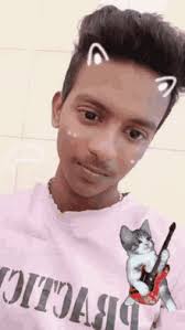Imgflip pro gif maker meme generator blank meme templates gif templates chart maker demotivational maker image cropper about privacy terms api slack app request image removal. Cat Filter Gifs Tenor