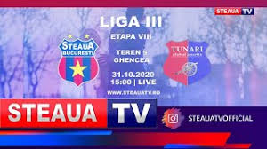 A collection of best action images from the 65th season of the champions league. Fc Viitorul ConstanÈ›a Wikivisually