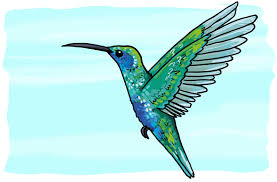 Der kolibri wird im medizinrad mit der äußeren position des östlichen seelenpfads und mit der klarheit assoziiert. So Zeichnest Du Einen Kolibri So Zeichnest Du Einfach Zeichnen Lernen