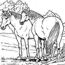 Image en coulere cheval au pat a imprimer gratuit / n'oubliez pas de copier la carte européenne. Coloriage De Chevaux En Ligne Gratuit A Imprimer