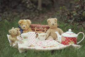 Divas And Dreams The Shutter Divas Blissful Picnic Pics Of The Week Teddy Bear Picnic Party Teddy Bear Picnic Birthday Party Teddy Bear Picnic