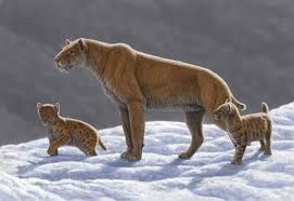 The Saber-Toothed Cat: The Most Memorable Extinct Megafauna