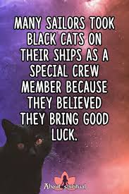 The cat in itself is a powerful symbol of wholeness and unity, a joining of the spiritual with the. What Does It Mean When You See A Black Cat About Spiritual