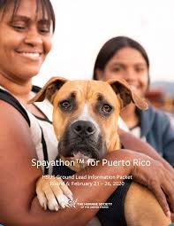Spayathon™ for Puerto Rico