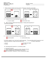 Start studying soil formation worksheet. Water Cycle Worksheet S Answers