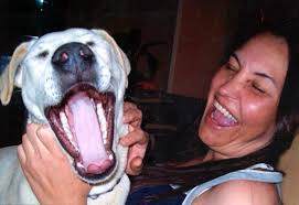 Tammy Tyree Obituary