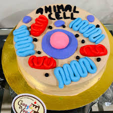 We did not find results for: An Animal Cell Cake That Googlie Vooglie Gupta Tanvi Facebook
