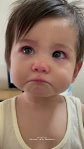 No Body Love Me! 😔 🥺 💔 Follow 👈 🙏