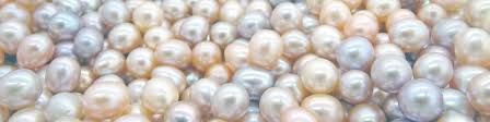 Compared to lumps of diamond, which may be millions … Pearl Guide Learn About Pearls Jersey Pearl
