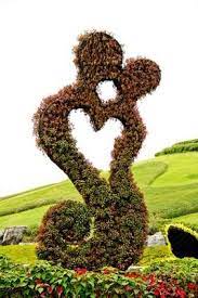 Küss-Deinen-Partner-Tag | Pflanzenblog | TERRA-Pflanzenhandel