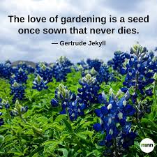 32 Inspirational Gardening Quotes