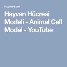 Hayvan Hucresi Modeli Animal Cell Model Youtube Mobile Boarding Pass