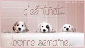 Résultat de recherche d'images pour "bonne semaine"