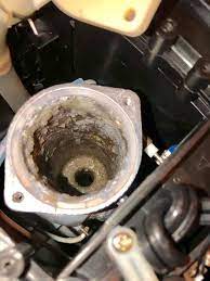 We did not find results for: Path Of Life Nutrition Is Mold In Your Coffee Maker Making You Sick
