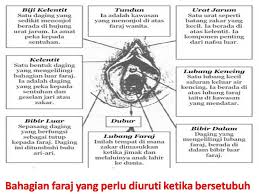Terungkapnya foto lubang hitam untuk pertama kalinya merupakan salah satu hari bersejarah dalam dunia ilmu pengetahuan. Bahagian Faraj Yang Perlu Diuruti Zakar Ketika Bersetubuh Sifuli Terapi