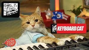 Keyboard Cat Has A Posse Cats Funny Cat Videos Cats And Kittens