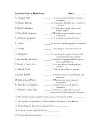 Anatomy And Physiology Muscle Worksheets Human Anatomy And Physiology Anatomy And Physiology Physiology