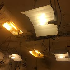 Check spelling or type a new query. Cmh Grow Lights Grozinegrozine