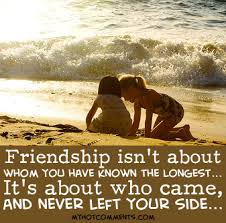 Quotes About Beach With Friends 22 Quotes