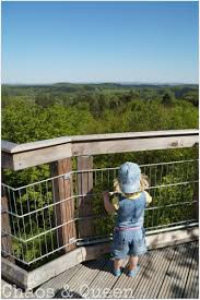 Ausflugstipp Rund Um Koln Panarbora Waldbrol Ausflug Tipps