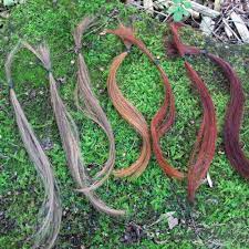 Nightblooming Herbal Hair Color Strand Tests Red Nightblooming Garden Herbal Hair Colour Herbal Hair Ash Hair Dye