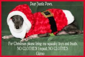 Christmas Card Ideas For Your Dog Romp Italian Greyhound Rescue Funny Dog Christmas Cards Dog Christmas Card Dog Christmas Pictures