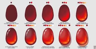 Exercice De Lumiere Et D 39 Ombre Sur Une Gemme Exercise Of Light And Shade On A Gem Digital Art Tutorial Art Art Tutorials