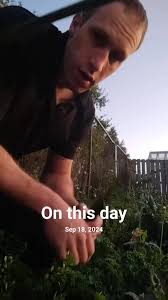 Gardening Tips for Celebrating Your Green Thumbs