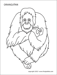 Kids are not exactly the same on the. Colouring Pictures Of Orangutan Google Search Coloring Pages Orangutan Animal Printables