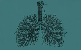 Like even eating food is. How Doctors Diagnose And Treat Vape Pen Lung Disease