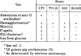 The two species of salmonella are salmonella enterica and salmonella bongori. Characteristics Of Salmonella Typhimurium Strains Download Table