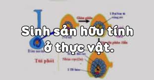 Maybe you would like to learn more about one of these? Sinh Há»c 11 Bai 42 Sinh Sáº£n Há»¯u Tinh á»Ÿ Thá»±c Váº­t