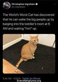 The funniest pictures with captions. Everything Funny Updated Hourly Thousands Of Funny Pictures Funny Text Messages Funny Memes Quotes And More For Hours Of Entertainment