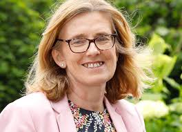 Homes from another county added to the mica scheme