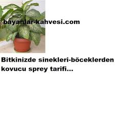 Pin On Nasil Yapilir Kendin Yap