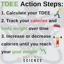 Image result for Energy Deficit Calculation
