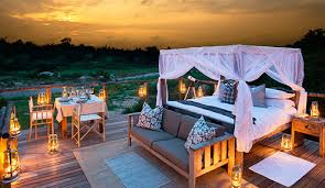 Image result for kruger national park south africa