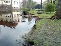 De87 4325 0030 0000 0154 46, bic: Die 10 Besten Steak Hauser In Herne