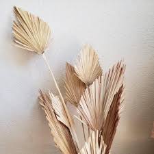 We did not find results for: Palm Fan Leaf Dried Flower Natural Dried Palm Leaf Fan Plant Diy Party Art Wall Hanging Wedding Decor Mega Promo 2109 Goteborgsaventyrscenter
